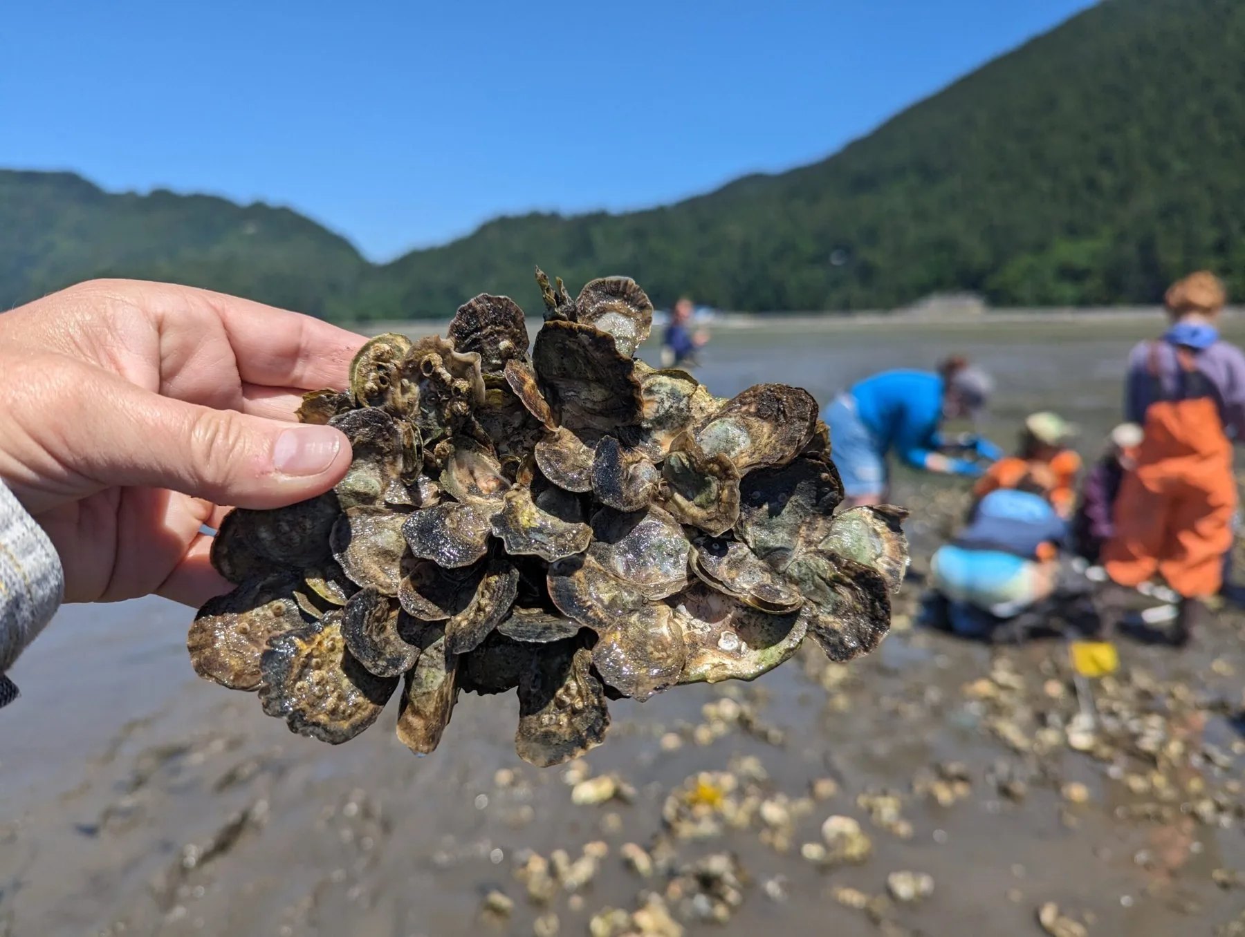 Puget Sound’s Rebuilders