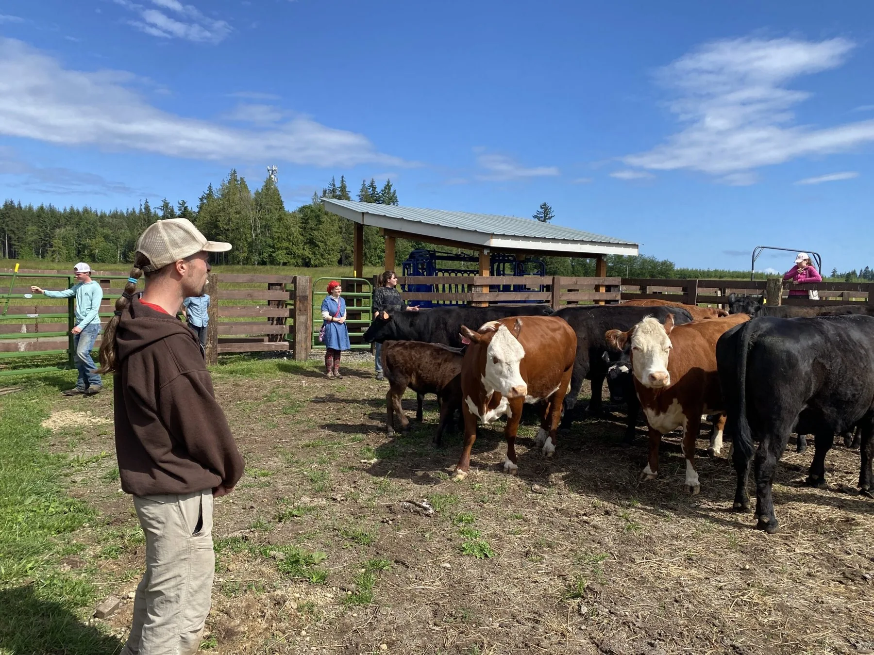 Growing Green in Kitsap