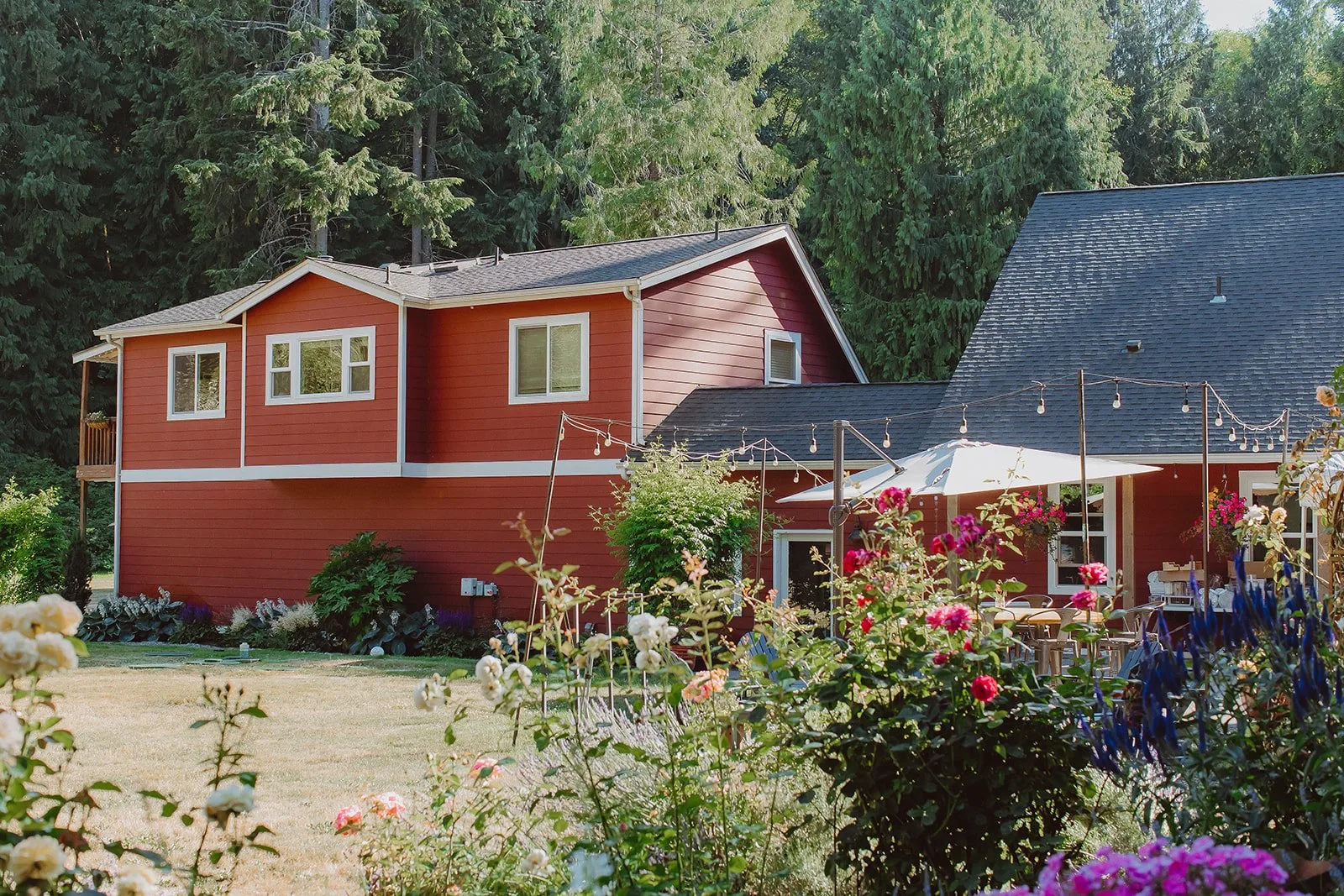 The Red House Chronicles