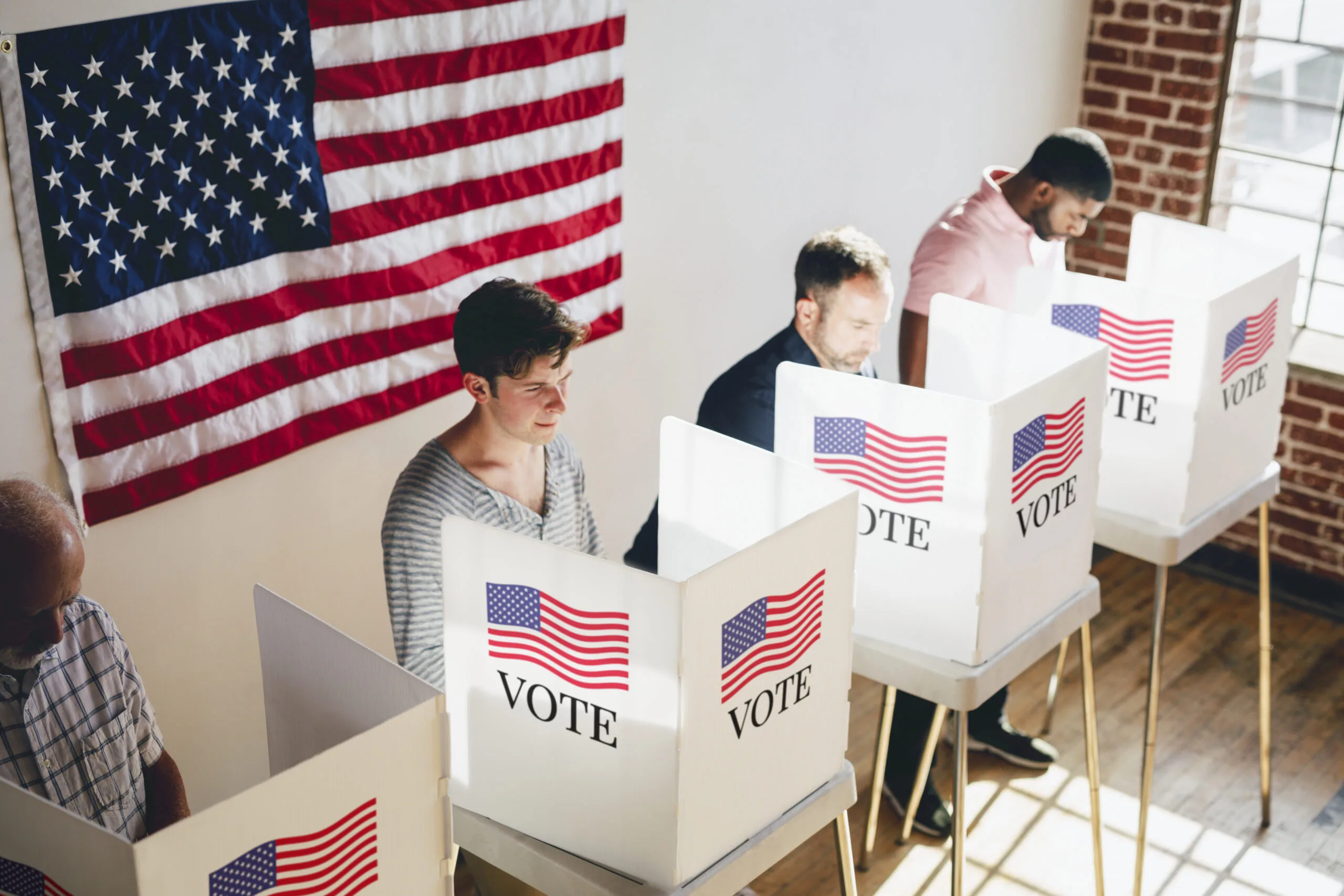 A voter at a polling booth